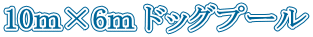 10m×6m ドッグプール